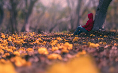 A lonely man sitting watching the beauty of nature in autumn