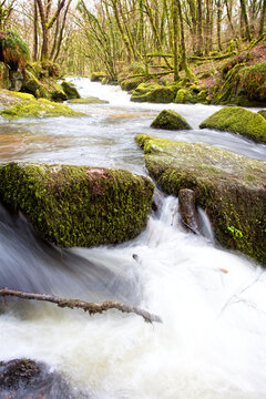 Golitha Falls on the River Fowey, Golitha Falls National Nature Reserve, Cornwall, England, UK.