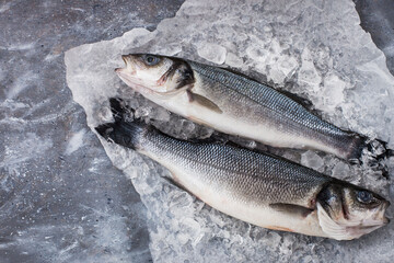 Raw fresh sea bream fish, top view, gray background