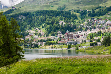 Fototapeta premium St. Moritz, St. Moritzersee, Wanderweg, Oberengadin, Alpen, Piz Julier, Corviglia, Stazerwald, Bergblumen, Graubünden, Uferweg, Seeufer, Wassersport, Malojawind, St. Moritz Bad, Sommer, Schweiz
