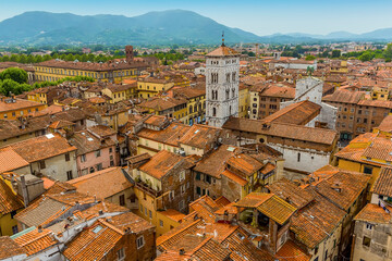 A view eastward from the Guinigi Tower in Lucca, Italy in summer