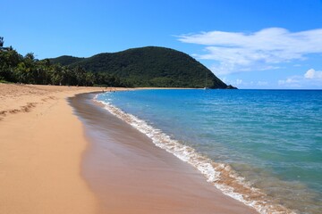 Caribbean sandy beach