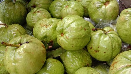 green color guava stock