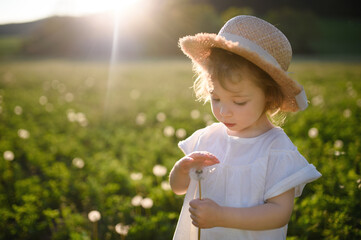 Small toddler girl standing on meadow outdoors in summer. Copy space.