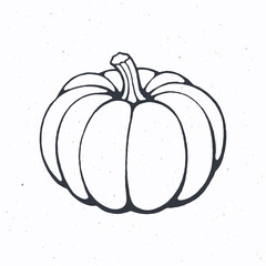 Pumpkin with stem. Healthy vegetarian food. Ingredient for vegetable menu. Vector illustration. Only outline Isolated on white background. Clip art for packaging, label, menu, signboard