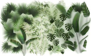 Plants behind the Glass with backlight, 4.5 x 2.8(h) meters layout ready for print on thin film. 