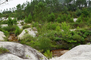 Fototapeta na wymiar Ruisseau des lacs de Guizengeard