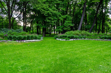 Green garden with grass. Summer courtyard with lawn. Beautiful summer landscape landscape park. Nature for background on postcard.