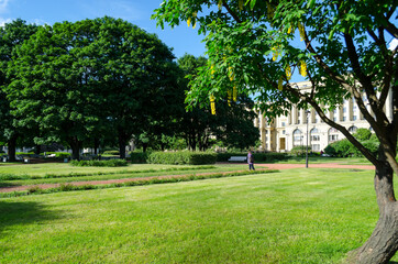Green garden with grass. Summer courtyard with lawn. Beautiful summer landscape landscape park. Nature for background on postcard.