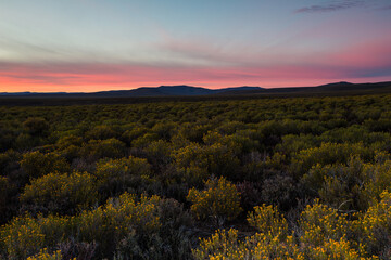 Wide Angle view of sunrise over the Tankwa Karoo close to Sutherland in the Northern Cape of South...
