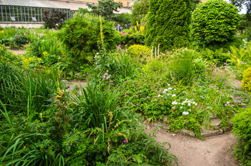 Green garden with grass. Summer courtyard with lawn. Beautiful summer landscape landscape park. Nature for background on postcard.