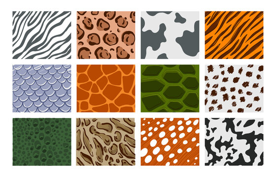 Vector illustration set of animal prints. Tiger, zebra, snake, giraffe, leopard, jaguar, crocodile, cow in cartoon style pattern 