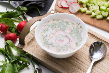A bowl of soup with cream, served cold. Soup with radish, cucumber, dill and some spring onion. Chlodnik.