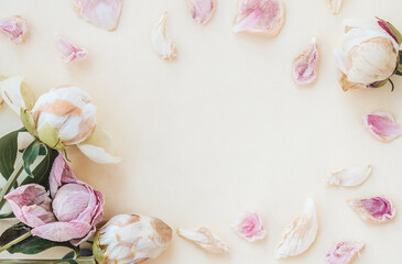 Frame of dry pink and white peony's buds and dry petals on a light yellow background.Selective focus with shallow depth of field, copy space for text.
