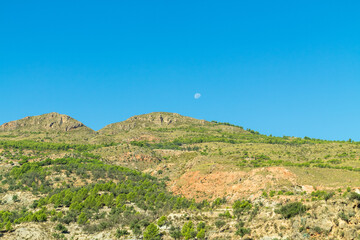 Fototapeta na wymiar mountainside with pine and olive trees