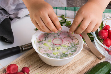 A bowl of soup with cream, served cold. Soup with radish, cucumber, dill and some spring onion. Chlodnik.
