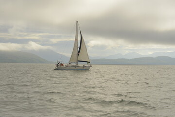 sailboat on the sea