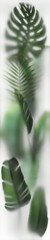 Green Plants behind the Glass with backlight, 0.53 x 2.5 (height) meters layout ready for print on...
