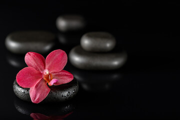 Fototapeta na wymiar Zen stones for hot massage with red orchid flower on black.