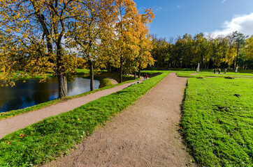 Autumn leaves in the trees
