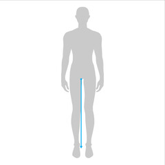 Men to do legs length measurement fashion Illustration for size chart. 7.5 head size boy for site or online shop. Human body infographic template for clothes. 