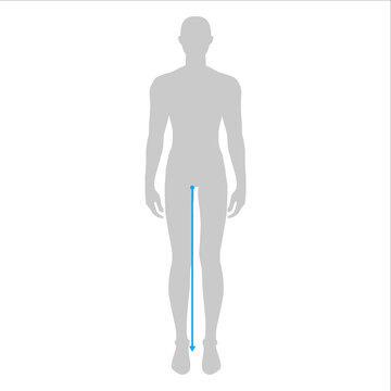 Men to do legs length measurement fashion Illustration for size chart. 7.5 head size boy for site or online shop. Human body infographic template for clothes. 