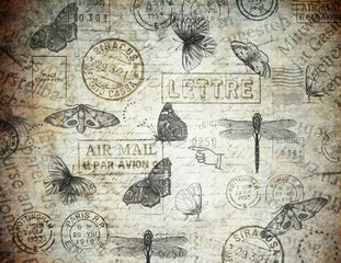vintage background with butterflies and text