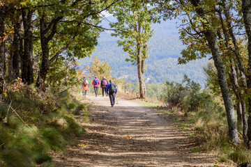 Fototapeta premium Hikers walking along the Candelario routes, Salamanca, Castilla Leon, Spain, Europe.