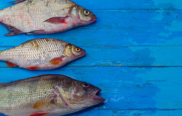 Fresh river fish lies on a wooden table one by one