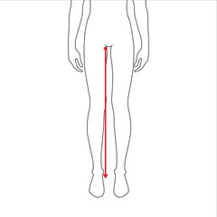 Men to do legs length measurement fashion Illustration for size chart. 7.5 head size boy for site or online shop. Human body infographic template for clothes. 