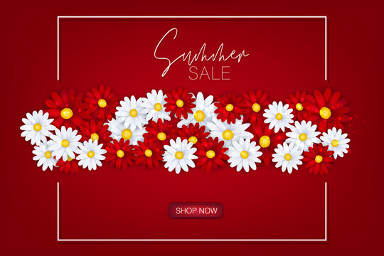 Summer sale banner. White and red daisy flowers background. Realistic vector illustration with lettering.