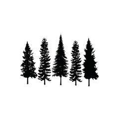 Obraz premium Set Collection Conifer Cedar Coniferous Cypress Pine Evergreen Fir Hemlock Spruce Larch Pinus tree forest illustration Logo design