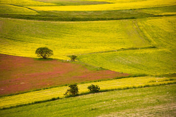 Agricultural valley with colorful fields in summer