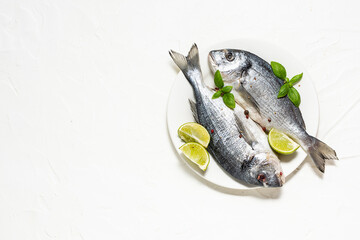 Fresh raw dorado fish with spices and herbs on white background with copy space for your text. Fish market banner. 