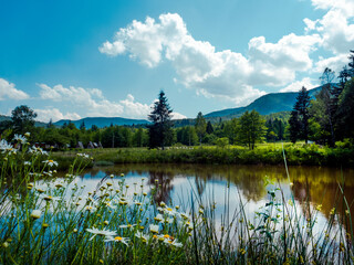 Landscape with a mountain lake in the Carpathian Mountains in Ukraine. Beautiful summer day, flowers, lake, forest and clouds