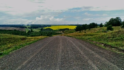 vineyard in the morning