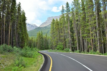 Summer road trip in the Canadian Rockies