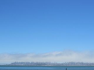 SAN FRANCISCO, CALIFORNIA, USA