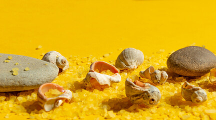 Seashells and stones on a bright yellow sandy background. Summer background with bright sunlight. Travel and vacation concept
