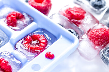 Ice tray with berries on white background