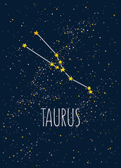 Obraz na płótnie Canvas Zodiac constellation on the night sky background