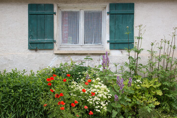 Altes Fenster mit hölzernen Fensterläden und Blumenbeet im Garten mit Mohn