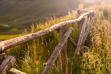 Wooden fence nd grass in summer with sunlight