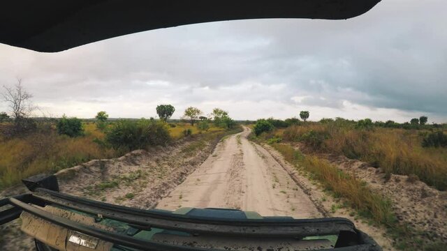 Fast bumpy dusty ride in safari jeep on early morning in Africa heading to discover wildlife..