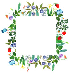 Watercolor woodland frame with wild flowers, strawberries, blueberries and leaves. Hand drawn nature summer illustration is great for card, poster, greeting, invitation, label