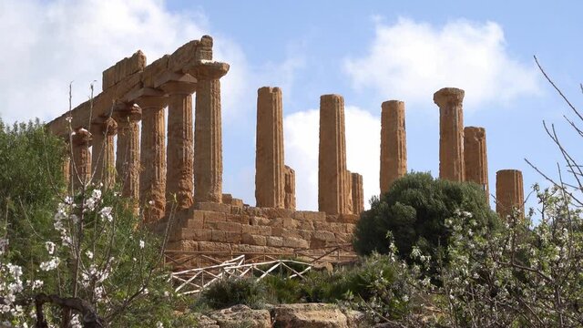 Temple of Juno (Tempio di Giunone) in Valley of the Temples (Valle dei Templi) near Agrigento, Sicily, Italy with bush in the foreground in a strong wind