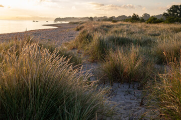 Ein schöner Morgen am leeren Strand mit Dünen