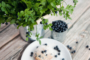 Blueberries in mug and bouquet of forest leaves and berries in bucket, plate with homemade muffin on colored wooden background.