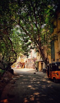 An empty but beautiful street during lockdown in a city in India.
