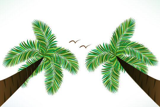 Palm trees and birds tropical paradise vector image template background picture
